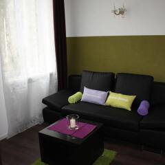 Отель Small Modern Apartment Vienna - Seidlgasse Австрия, Вена - отзывы, цены и фото номеров - забронировать отель Small Modern Apartment Vienna - Seidlgasse онлайн комната для гостей фото 2