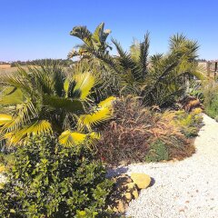 Отель Finca Andalucia Испания, Кониль-де-ла-Фронтера - отзывы, цены и фото номеров - забронировать отель Finca Andalucia онлайн приотельная территория