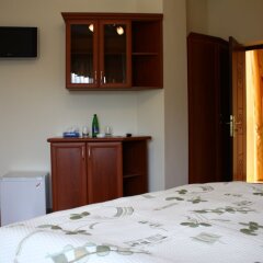 Отель Jermuk Ani Hotel Армения, Джермук - отзывы, цены и фото номеров - забронировать отель Jermuk Ani Hotel онлайн удобства в номере