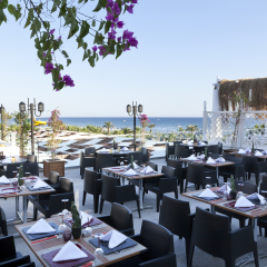 Paloma Oceana Resort Турция, Сиде - 1 отзыв об отеле, цены и фото номеров - забронировать отель Paloma Oceana Resort онлайн питание