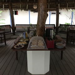 Vanuatu Holiday Hotel питание