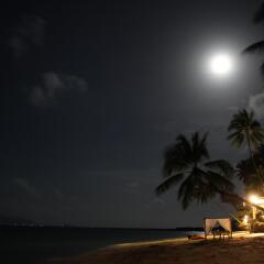 Отель Mimosa Resort & Spa пляж