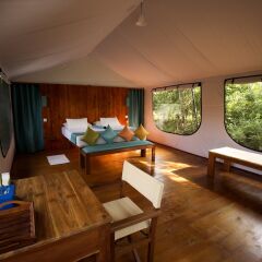 Отель Wild Trails Yala Tented Safari Camp By Yoho спа фото 2