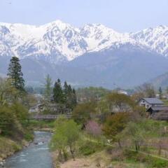 Отель Hakuba Kaze no Ko Хакуба фото 4