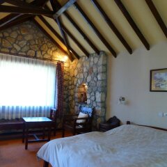 Отель Mountain Lodge комната для гостей фото 2