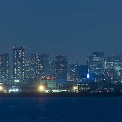Отель Hilton Tokyo Bay фото 4