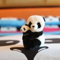 Shangri-la Hotel Chengdu с домашними животными