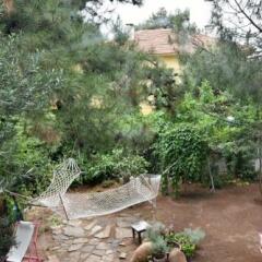 Mavi Pansiyon in Ayvalik, Turkey from 31$, photos, reviews - zenhotels.com photo 13