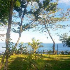 Отель Panglao Kalikasan Dive Resort Филиппины, Дауис - отзывы, цены и фото номеров - забронировать отель Panglao Kalikasan Dive Resort онлайн пляж фото 2