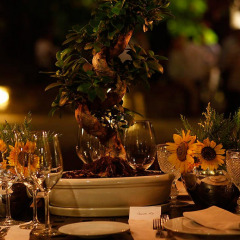 Отель Quinta Nova de Nossa Senhora do Carmo - Luxury Winery House гостиничный бар
