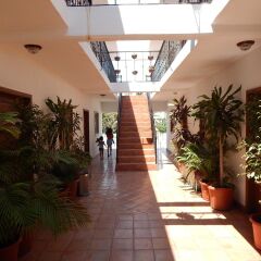 Отель Cabo Cush Мексика, Кабо-Сан-Лукас - отзывы, цены и фото номеров - забронировать отель Cabo Cush онлайн фото 4