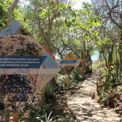Отель Isla Natura Beach Huatulco фото 4