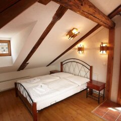 Отель Residence Muzeum Vltavinu Чехия, Чешский Крумлов - отзывы, цены и фото номеров - забронировать отель Residence Muzeum Vltavinu онлайн детские мероприятия фото 2