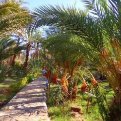 Отель Riad Tagmadart Ferme D'hôte Марокко, Загора - отзывы, цены и фото номеров - забронировать отель Riad Tagmadart Ferme D'hôte онлайн фото 21