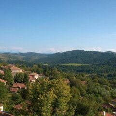 Отель Family Hotel Lipite Болгария, Правец - отзывы, цены и фото номеров - забронировать отель Family Hotel Lipite онлайн балкон