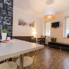 White Lions - Apartment Hotel гостиничный бар