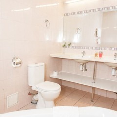 Гостиница Central Inn - Атмосфера в Санкт-Петербурге - забронировать гостиницу Central Inn - Атмосфера, цены и фото номеров Санкт-Петербург ванная фото 2
