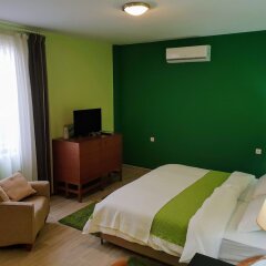 Отель Male stepenice Сербия, Белград - отзывы, цены и фото номеров - забронировать отель Male stepenice онлайн комната для гостей фото 2