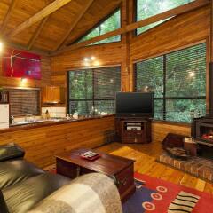 The Mouses House Rainforest Retreat In Burleigh Waters Australia