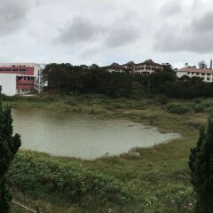 Отель Doan's House Далат приотельная территория фото 2