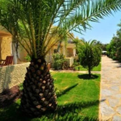 La Vida Blanca Exclusive Boutique Hotel Турция, Торба - отзывы, цены и фото номеров - забронировать отель La Vida Blanca Exclusive Boutique Hotel онлайн фото 5