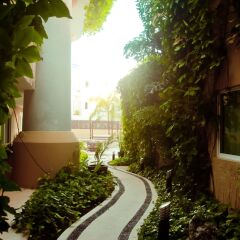 Отель Pueblito Escondido Luxury Condohotel фото 7
