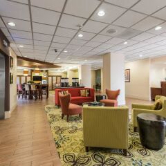 Отель Hampton Inn Meridian гостиничный бар