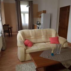 Отель Villa Sofia Apartments Чехия, Карловы Вары - отзывы, цены и фото номеров - забронировать отель Villa Sofia Apartments онлайн комната для гостей фото 5
