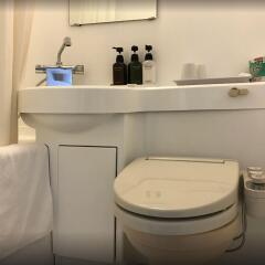 Отель Smile Hotel Asakusa Япония, Токио - 1 отзыв об отеле, цены и фото номеров - забронировать отель Smile Hotel Asakusa онлайн удобства в номере