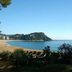 Отель Cala Boadella I Испания, Льорет-де-Мар - отзывы, цены и фото номеров - забронировать отель Cala Boadella I онлайн пляж