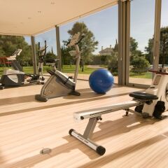 Las Gaviotas Suites Hotel фитнесс-зал фото 4