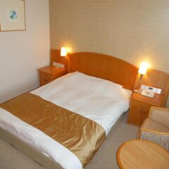 Kobe Luminous Hotel in Kobe, Japan from 121$, photos, reviews - zenhotels.com guestroom photo 2