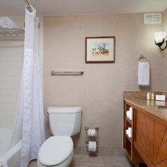 DoubleTree Beach Resort by Hilton Tampa Bay - North Redingto in North Redington Beach, United States of America from 446$, photos, reviews - zenhotels.com bathroom