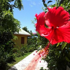 Hotel Le Rotabas фото 10
