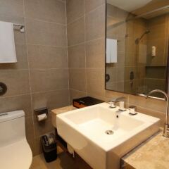 Отель Home Inn Plus (Xi'an South Second Ring 4th Gaoxin Road) Китай, Сиань - отзывы, цены и фото номеров - забронировать отель Home Inn Plus (Xi'an South Second Ring 4th Gaoxin Road) онлайн ванная