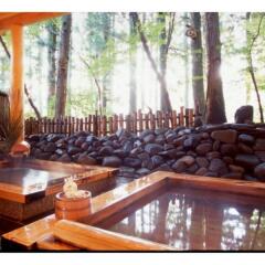 Отель Country Inn Green City Nikko Никко бассейн фото 3