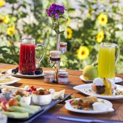Ariana Sustainable Luxury Lodge Турция, Учисар - отзывы, цены и фото номеров - забронировать отель Ariana Sustainable Luxury Lodge онлайн питание фото 2