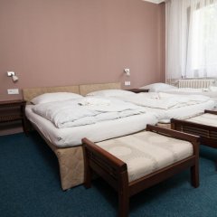 Отель Radějov Чехия, Годонин - отзывы, цены и фото номеров - забронировать отель Radějov онлайн комната для гостей