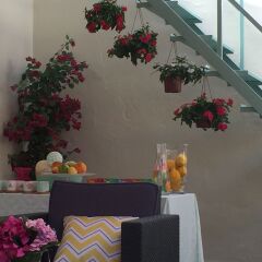 Отель Hostal Jardín de la Alameda интерьер отеля