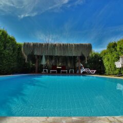 Villa Terra Ares Турция, Кесилер - отзывы, цены и фото номеров - забронировать отель Villa Terra Ares онлайн бассейн фото 2