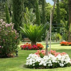 Отель Quinta Jardins do Lago Португалия, Фуншал - отзывы, цены и фото номеров - забронировать отель Quinta Jardins do Lago онлайн помещение для мероприятий фото 2