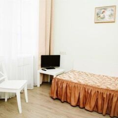 Гостиница Парк Львиный мостик комната для гостей фото 4