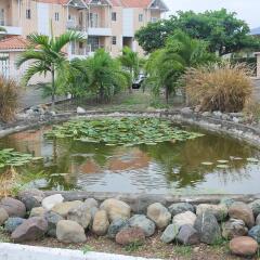 Отель The Oasis at Marley Manor Ямайка, Кингстон - отзывы, цены и фото номеров - забронировать отель The Oasis at Marley Manor онлайн фото 21