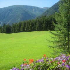 Отель Alpenhotel Badmeister спортивное сооружение