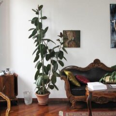 Отель Gourmet B&B Giglio Bianco спа