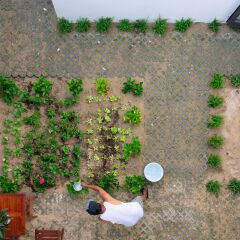 Отель Вилла Plants Garden парковка