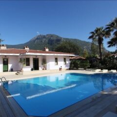 Vento Boutique Hotel с домашними животными