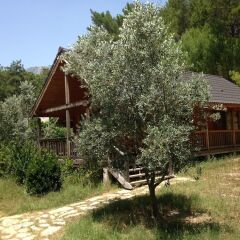 Отель Olympos Village детские мероприятия