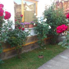 Отель Guest House Stoletnika Чепеларе фото 8