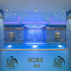 Black Bird Thermal Hotel & SPA интерьер отеля фото 3